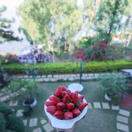 Valleycrest Villa With Swimming Pool 马哈巴莱斯赫瓦尔 外观 照片