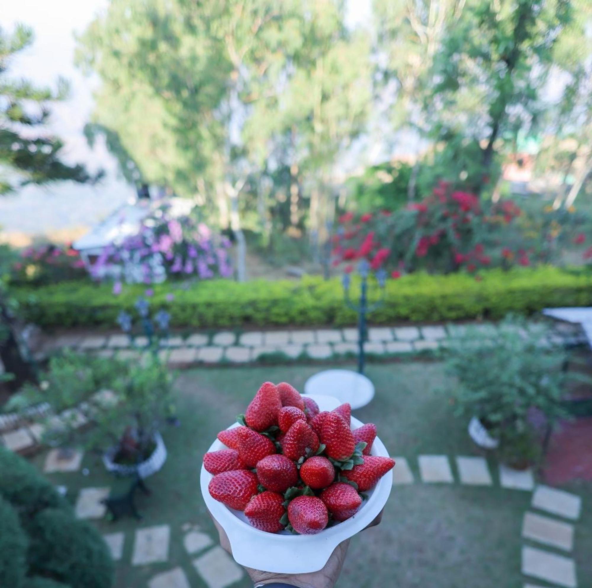 Valleycrest Villa With Swimming Pool 马哈巴莱斯赫瓦尔 外观 照片